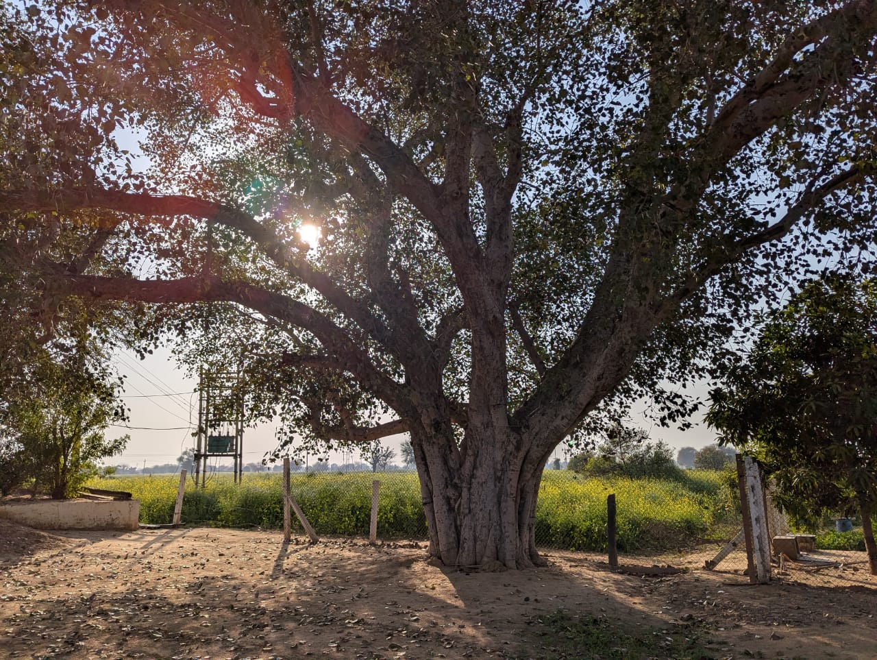 Basant Farms photo 6